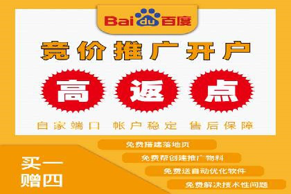 某电商平台的sem竞价推广托管经验